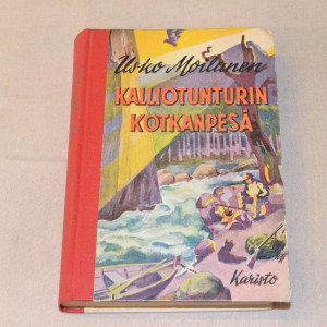 Usko Moilanen Kalliotunturin kotkanpesä